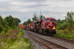 CP 8787